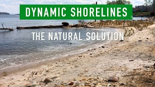 Dynamic Shorelines The Natural Solution