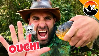 Eaten Alive - Human Hands Vs. Piranha!