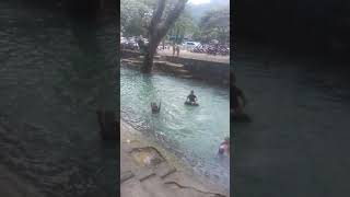 Mandi