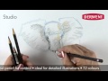 Studio Pencils Speed Drawing