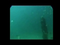 videos de sirenas reales