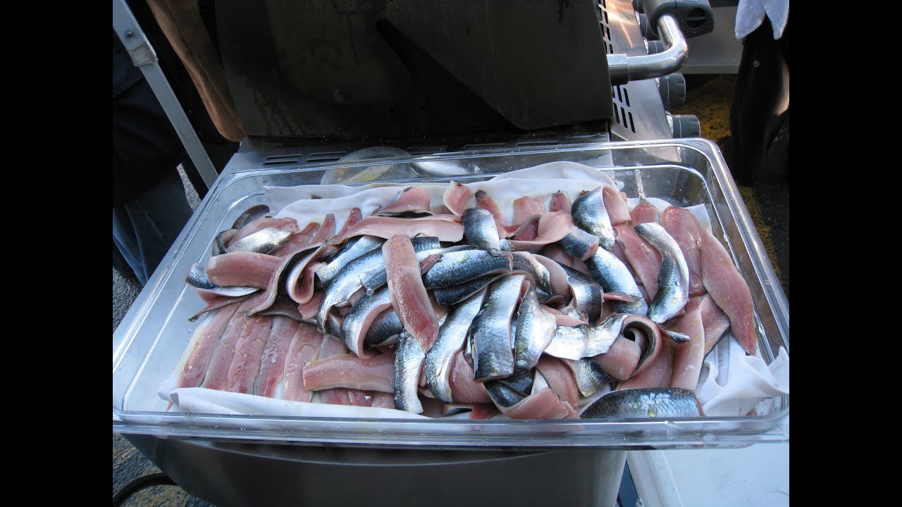 Herring Cooking with Kosta! YouTube
