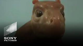 The Water Horse Video Blog - Building Crusoe