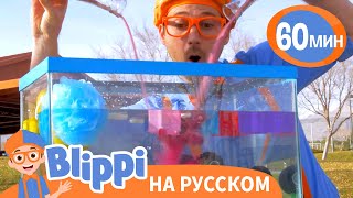 Плыви Или Тони | Обучающие Песни Для Детей | Blippi Russian