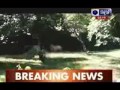 Youth mauled to death after white tiger attacks