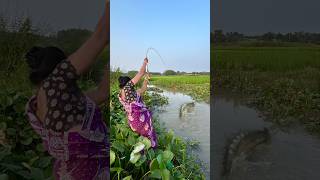 Unique Hook Fishing By Village Lady In The C