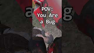 Bug Pov