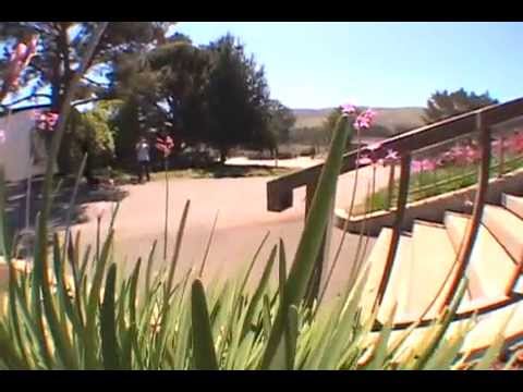 INDEPENDENT TRUCKS - MIKEY CURTIS - NEW 149 STAGE X HOLLOW BODY