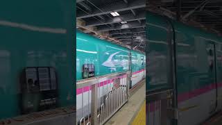 Tohokuakita Shinkansen E6 Series Komachi & E5 Series Hayabusa Departing Ōmiya