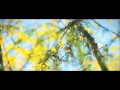 Fahri Kosovali - Belki bir gün Döneceksin ( 2013 ) - Sinema Yorum