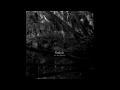 Dadub - Transfer (feat King Cannibal) [Stroboscopic Artefacts SACD003]