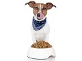 Quality Dog Food Plus Home Delivery - Life's Abundance Dog Food