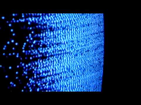 Of Dark And Quiet Video