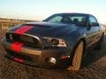 2011 Ford Shelby Cobra Mustang GT 500 raw and unleashed