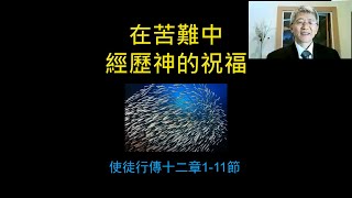 20201129主日崇拜: 苦难与祝福(使徒行传 12:1~11) - 义秉欣牧师