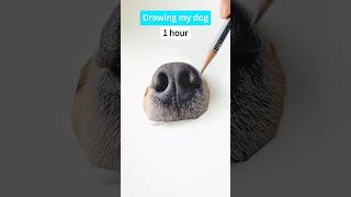 How To Draw A Dog Mega Realistic