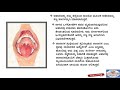 SSLC SCIENCE Ch:-6 Life Processes part 3