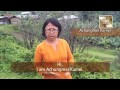 Mystery Disease Cripples Orange Farms of Manipur
