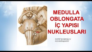 Medulla Oblongata Nucleusları Nöroanatomi Konu Anlatımı - 5