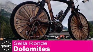 180625 Dolomotes