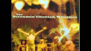 Watch Screamin Cheetah Wheelies Moses Brown video