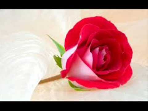 raat shabnami wmv