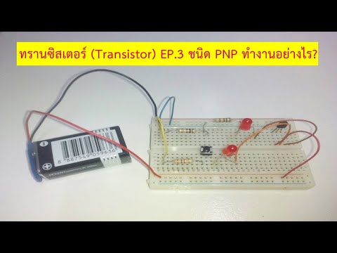 ทรานซิสเตอร์ (Transistor) EP.3 ชนิด PNP ทำงานอย่างไร?