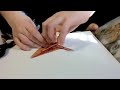 2 - How To Make An Origami Antelope Part 2