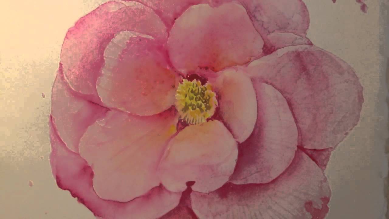 Painting a Camellia in watercolour tip 18 - YouTube