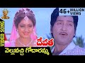 Velluvachi Godaramma Video Song | Devatha Telugu Movie Songs | Shobhan Babu | Sridevi | Jaya Prada