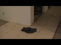 How to Install Porcelain Tiles or Ceramic Tiles (7 of 9)