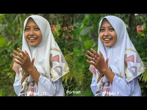 Google Pixel 2XL vs Google Pixel 3 | Camera Comparison