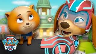 Paw Patrol Liberty Makes A Mighty Rescue W Junior Patrollers & Mighty Skye Shimmer And Shine