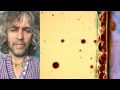 The Flaming Lips - With A Little Help From My Fwends - Part 9