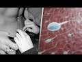 8 datos curiosos sobre el semen que toda mujer debe saber