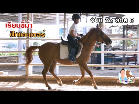 เรียนขี่ม้า ฝึกแคนเตอร์ สอนขี่ม้า วันที่22 ตอน5 อาชาบำบัดา ที่ฮอสมาสเตอร์ Vlog EP247 | เต๋อพาเที่ยว