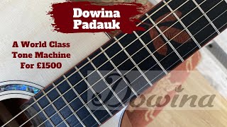 Dowina Padauk Acoustic Guitar - World Cl Tone Machine