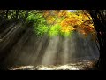 High Council of Orion: Awareness Of Energetic Essence - March 6, 2014