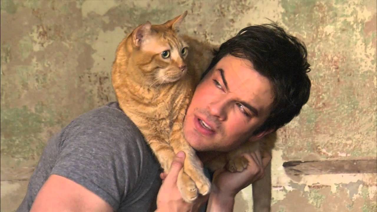 Ian Somerhalder and his cat Moke for People Magazine (2013) HD - YouTube