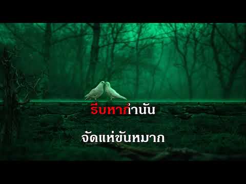 จดหมายตอบรักจากสุพรรณ เพลงแก้ จินตนา คาราโอเกะ เพลงลูกกรุง รวมเพลง ฟังเพลง ออนไลน์ คีย์ผู้หญิง รัก