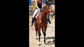 GOLDY MOUNTING AND DISMOUNTING UNHELD, LARGE OPEN ARENA