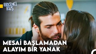 Aşkın Can Divit Hali - Erkenci Kuş