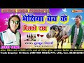 भैसिया बेच के पिलको दारू || Munmun Bihari Ka Hits Mathili Song 2019 || Bhaisiya Beach Ke Pilko Daru भैसिया बेच के पिलको दारू || Munmun Bihari Ka Hits Mathili Song 2019 || Bhaisiya Beach Ke Pilko Daru