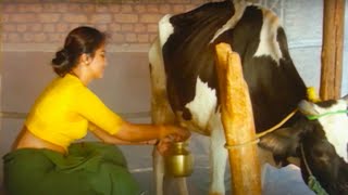 സമലത അഭനയചച ഒര കടലൻ രഗ Malayalam Movie Scene Sumalatha Movie Clip Thazhvaram
