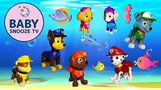 Paw Patrol Soothing Lullabies Relaxing Lullaby Mix By Baby Snooze Tv