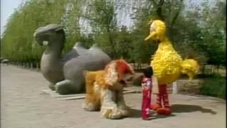 Big Bird In China Camel Scene