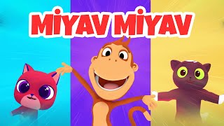 Miyav Miyav - Kukuli Kedi Şarkısı - En Sevilen Türkçe Çocuk Şarkıları