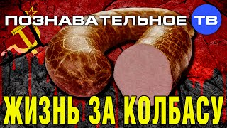 Жизнь за колбасу (Познавательное ТВ, Сергей Савельев)