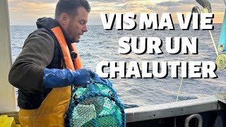 13H Sur Un Chalutier, 500Kg De Poulpes Pêchés, Vis Ma Vie De Marin Pêcheur