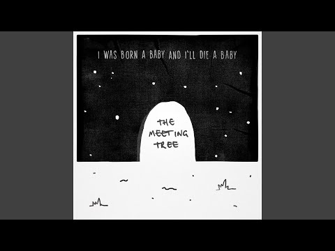 The Meeting Tree (feat. Sam Margin & Elliot Margin) Video